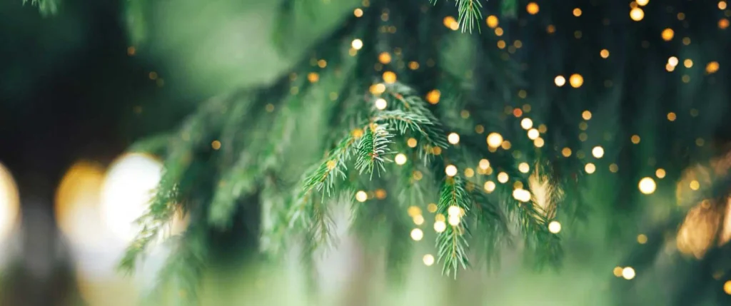 Idées cadeaux beauté Élodie Esthétique Paris
